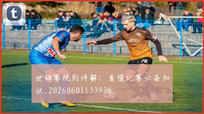 世锦赛规则详解:看懂比赛必备知识_20260601133936